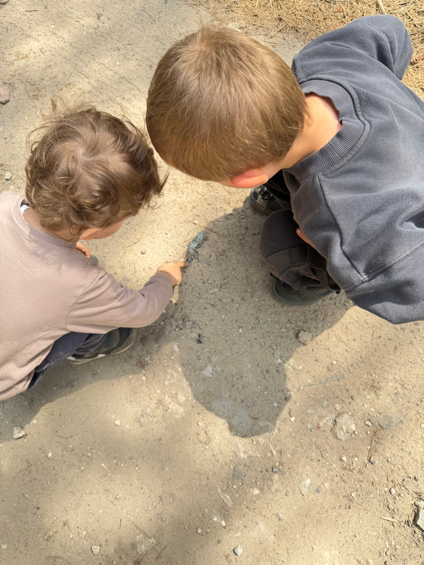 Drewniane pomoce Montessori